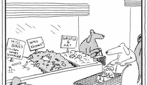 Far Side's 'Talking Dogs' Comic Is Scientifically Accurate (Really)