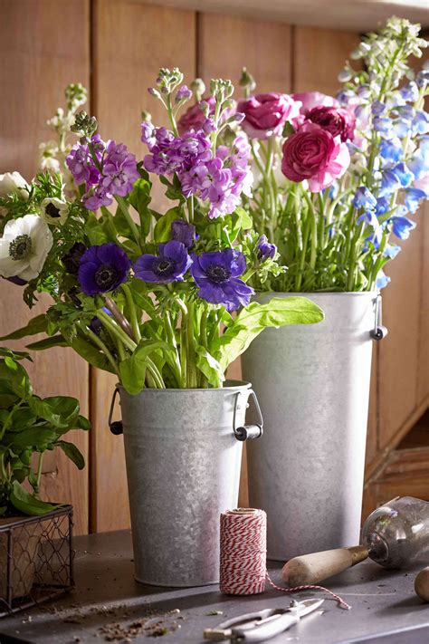 The Flower Bucket: A Guide To Choosing And Caring For Beautiful Blooms