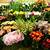 the flower shop dubai online seller of specialty