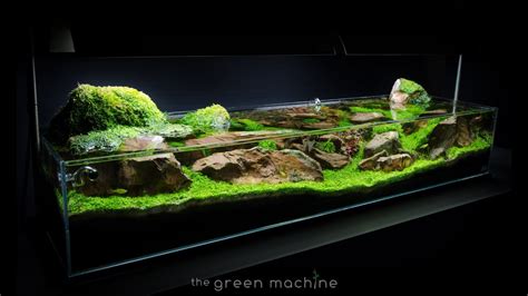 The Green Machine Aquascape