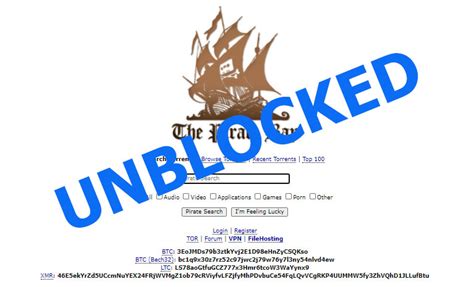 You are currently viewing The Ultimate Guide To Accessing The Pirate Bay Unblocked In 2023