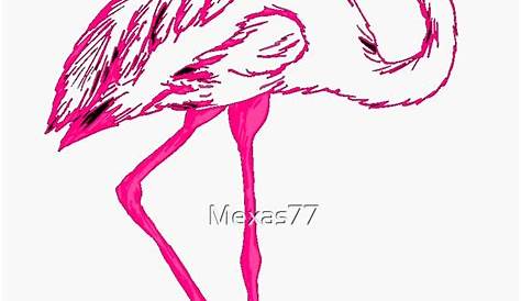 "Flamenco means FIRE. The word Flamingo comes from the Spanish and