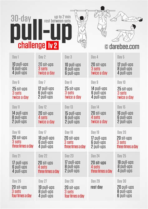 The 20 Pull Ups Training Program Free Printable