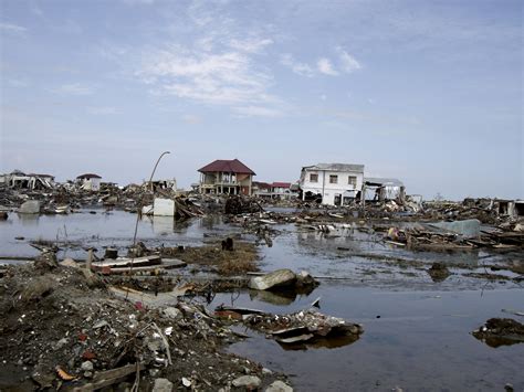 the 2004 indonesian tsunami