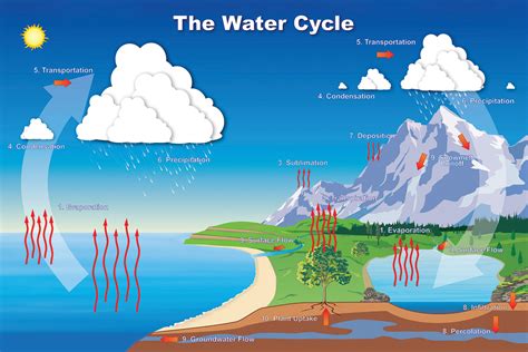 the 7 steps of water cycle