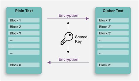 The Advanced Encryption Standard Algorithm Validation Suite