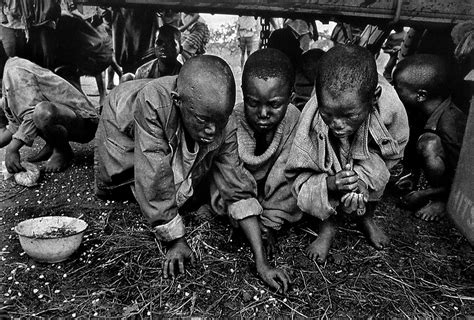 the aftermath of the rwandan genocide
