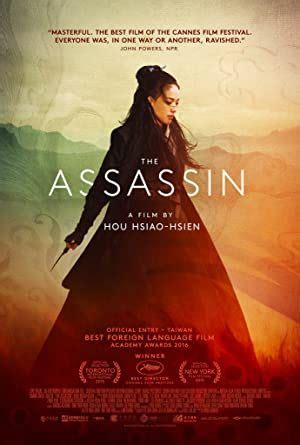 the assassin english subtitle