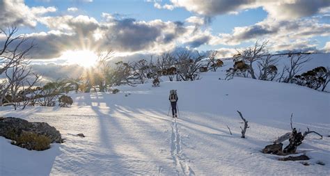 the australian alps walking track