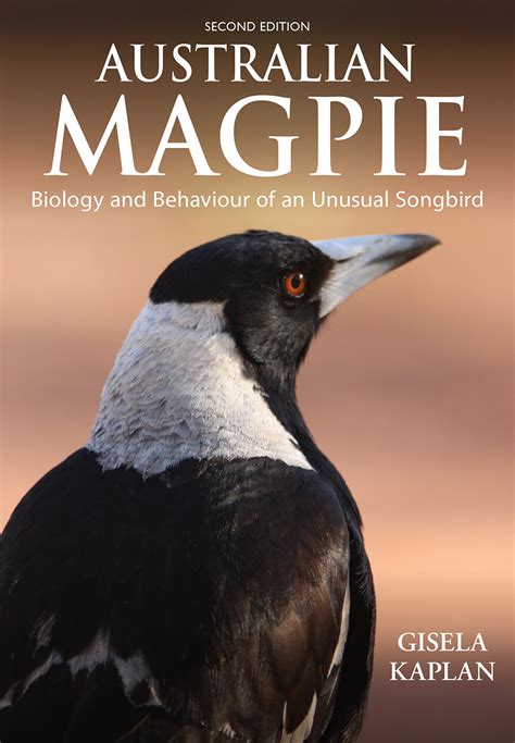 the australian magpie book