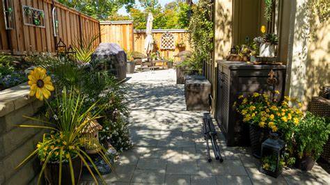 the backyard again