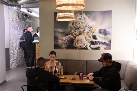 the backyard barcelona