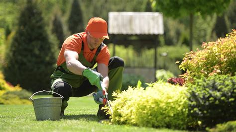 The Backyard Gardener â€¢ Fence Ideas Site