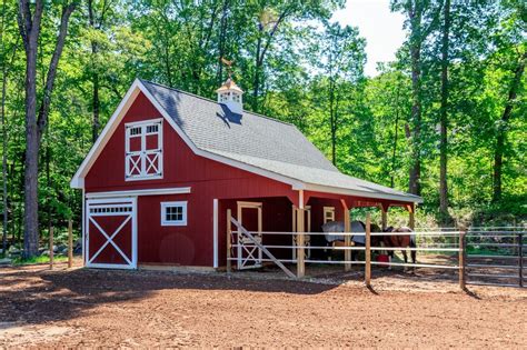 In The Barn Yard Photograph by Bill Cannon