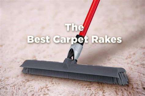 The Best Carpet Rake