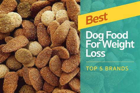 the best dog food for weight loss