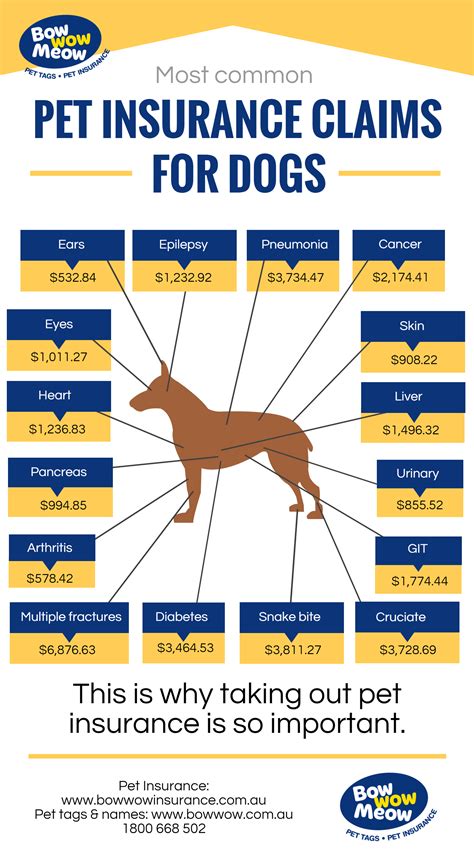 the best dog insurance australia