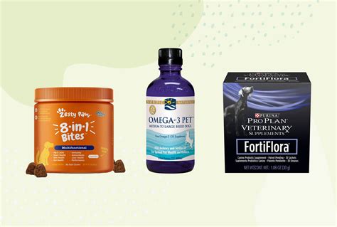 The Best Dog Supplements