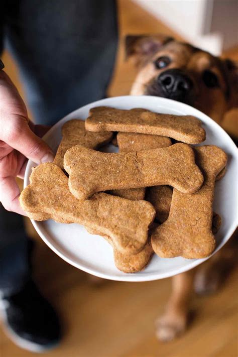the best dog treats to buy