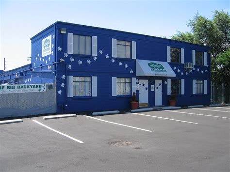 The Big Backyard Denver