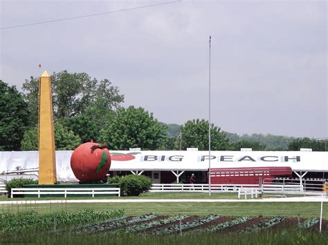 the big peach bruceville indiana