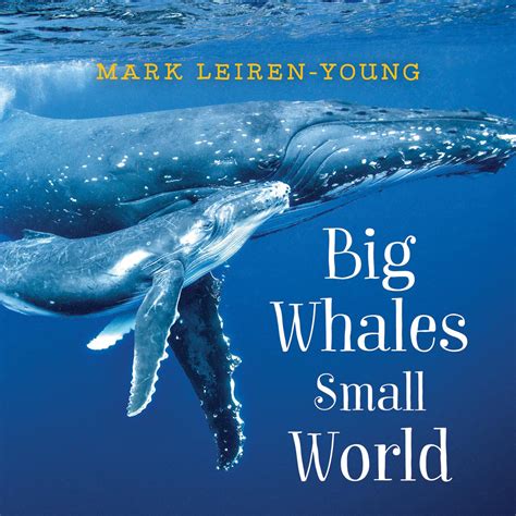 the big whale book