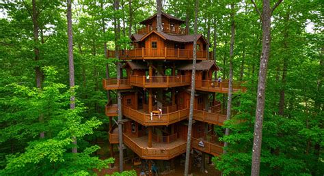 The Biggest Treehouse