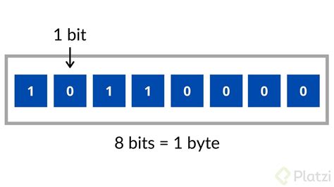 The Bits In A Byte Clue