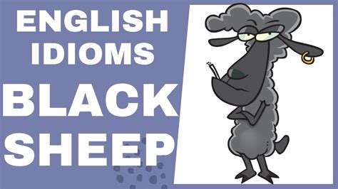 The Black Sheep Example Sentence