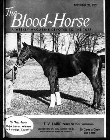 the blood horse news
