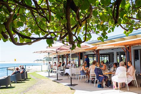 the boatshed cotton tree