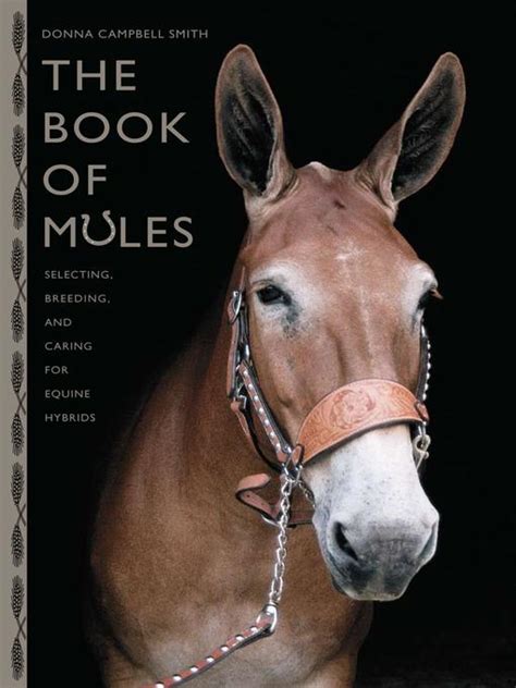 the book of mules