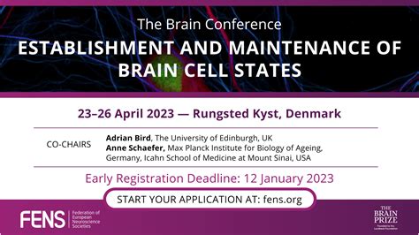 the brain conference 2023