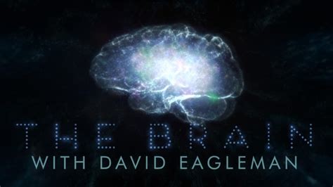 the brain with david eagleman