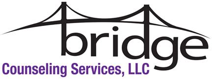 the bridge counseling services