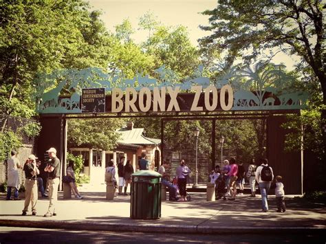 the bronx zoo website