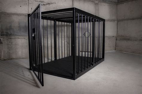 the cage bdsm