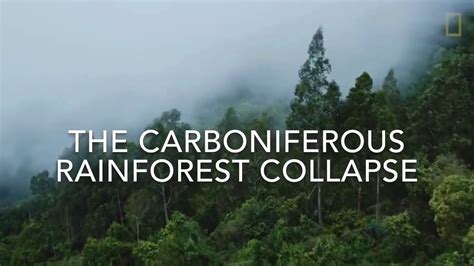 the carboniferous rainforest collapse