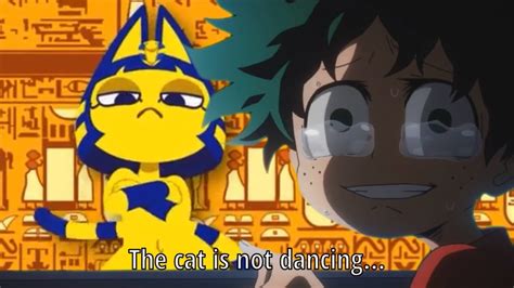 the cat is not dancing