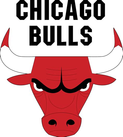 the chicago bulls official website