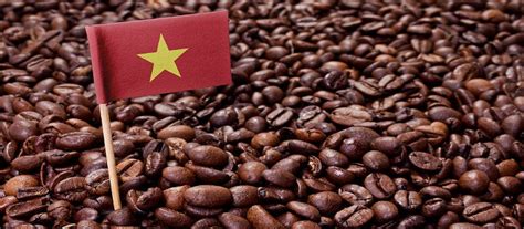 the coffee bean vietnam