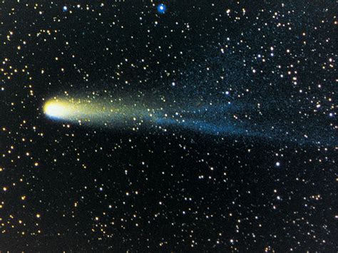 the comet known as halley's comet tail
