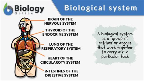 the complexity of biological system