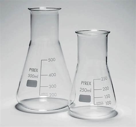 the conical flask biology