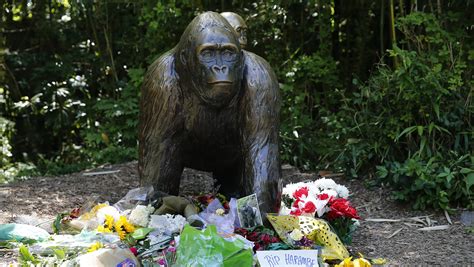 the death of harambe