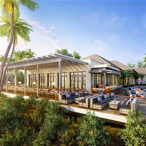 Unveiling the Enchanted Oasis: The Deck at 560