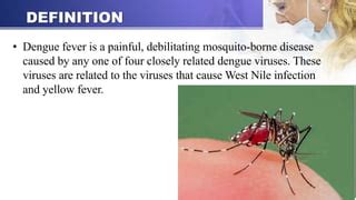 the definition of dengue