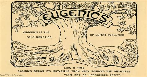 the definition of eugenics