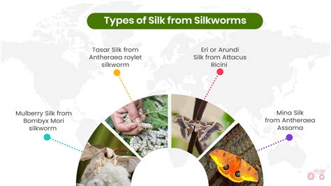 The Definition Of Silk Thread
