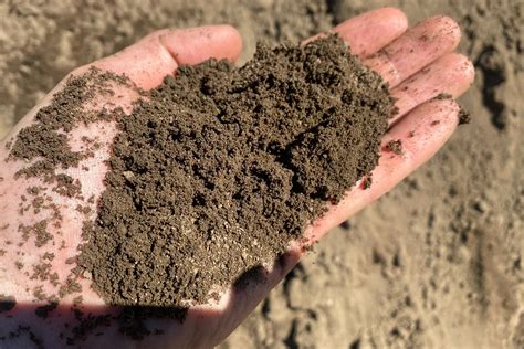 the definition of topsoil